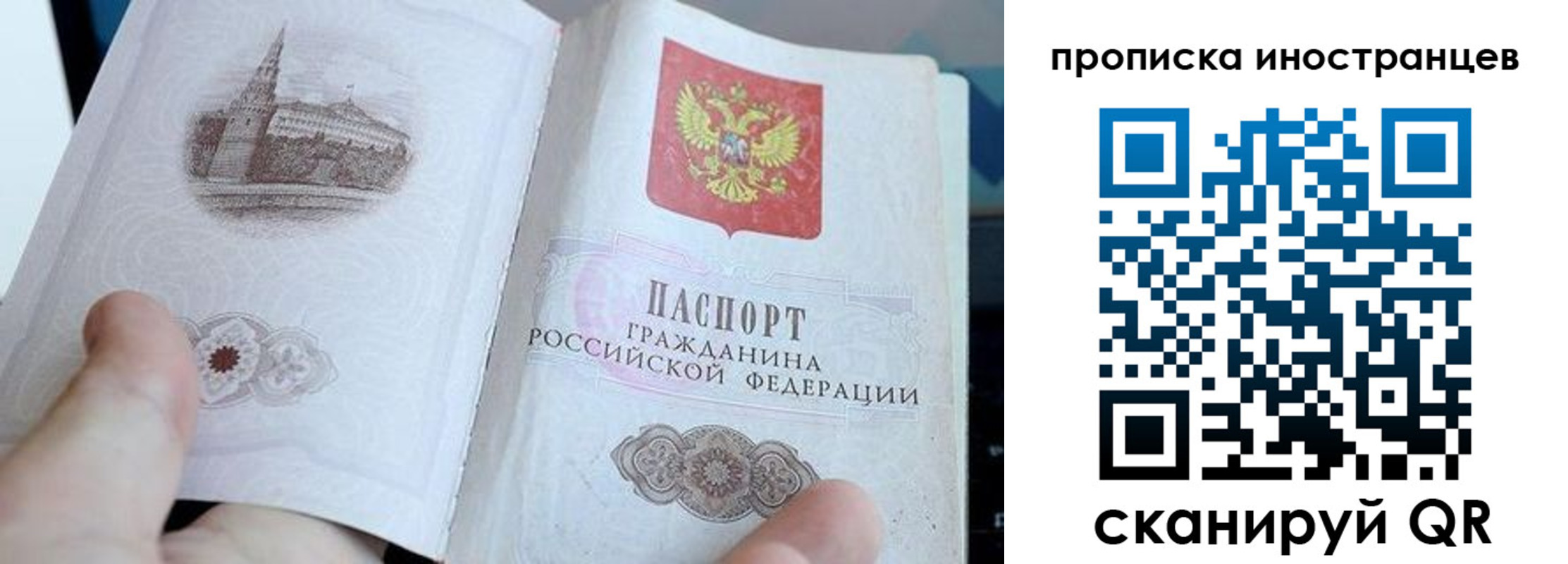 прописка поиск в Зее